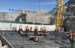 套系统融合监测取视频
